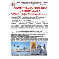 12 января 2025 : ОРША - с. Борзые