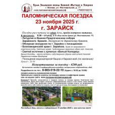 23 ноября 2025 : г. ЗАРАЙСК