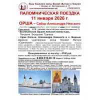 11 января : ОРША - Борзые